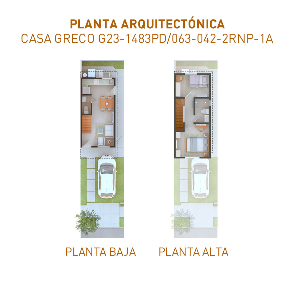 planta-web-1483